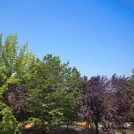 Gæstehus Elements Rom