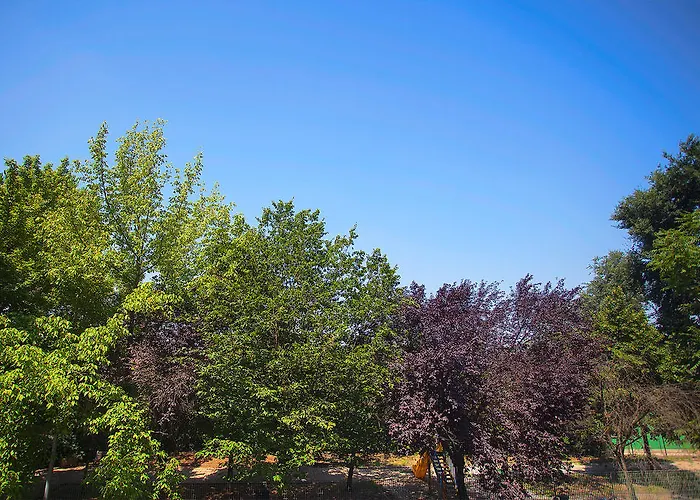 招待所 Elements 罗马